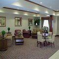 Microtel Starkville Ms