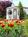 Holiday Inn East Windsor::Yahoo! Travel