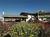 Americas Best Value Lamplighter Inn::ProfessionalTravelGuide.com