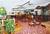 The Vintage Resort and Conference Center::Orbitz