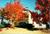 Days Inn - Union City::Orbitz