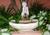 Elliott House Inn::Orbitz