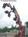 Knoebel's::ThemeParksOnline