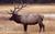 Headwaters of the Yellowstone Bed and Breakfast::BedAndBreakfast.com