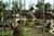 Sheraton Broadway Plantation::Expedia