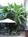 Creole Gardens Guesthouse B%B::TripAdvisor