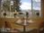 Pikes Peak Paradise Bed & Breakfast::BedAndBreakfast.com