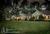 Foxfield Inn, The::BedAndBreakfast.com