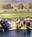 Americas Best Value Inn And Suites::Expedia