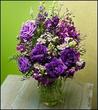 Accent Floral Company::CitySearch