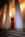 The Mills House Hotel::Orbitz