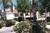 Arizona Golf Resort::Travelocity.com