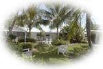 Lemon Tree Inn