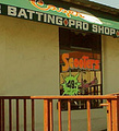 Cage's Indoor Batting