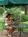 Arlington Inn::TripAdvisor