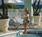 Solara Surfside::Priceline.com