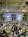 The Ritz-Carlton, Naples::Hotels.com