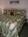 Cane Cottage Bed and Breakfast::BedAndBreakfast.com
