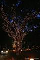 Four Seasons Residences Town Lake, Austin::ZoomAndGo