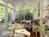Ware Street Inn::BedAndBreakfast.com