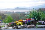 Braeside Inn