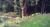 Forest Springs Bed and Breakfast::BedAndBreakfast.com