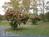 Rock Village Bed and Breakfast::BedAndBreakfast.com