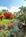Outrigger Palms at Wailea::Orbitz