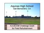 Aquinas Falcon Staduim