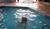 Holiday Inn Rock Springs::Orbitz