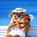 Majestic Beach Resort::Travelocity.com
