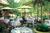 Hotel ZaZa - Houston::Orbitz