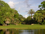 Fairchild Tropical Garden