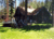 Zephyr Cove Resort::PetFriendly.com
