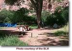 Tn-moab-campground-jcpark