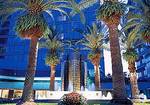 Grand Hyatt Tampa Bay