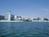 Shephards Beach Resort Is Clearwater Beachs Premier Entertainment Resort.::Yahoo! Travel