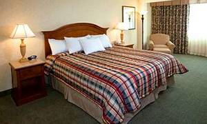 Web-16211_17_b
