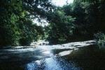 Granville State Forest