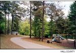 Central Park
