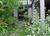 The English Garden B&B::BedAndBreakfast.com