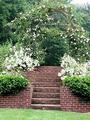 Pardee Rose Garden