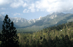 Web-visitor_info_12