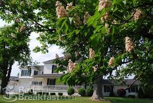Inn at Windmere::BedAndBreakfast.com