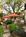 Anchuca Historic Mansion & Inn::BedAndBreakfast.com