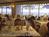 Holiday Inn Sunspree Resort Wrightsville Beach::Orbitz