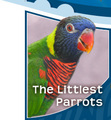 Kansas City Zoo