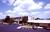 Comfort Inn Greater Cincinnati Airport::Expedia