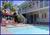 Best Western Beachside Inn::PetFriendly.com