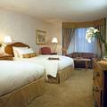 Sofitel Chicago O Hare
